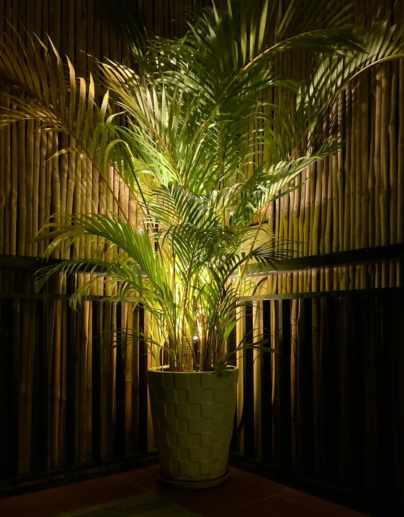 Lotus Haven Villa Siem Reap Exterior photo